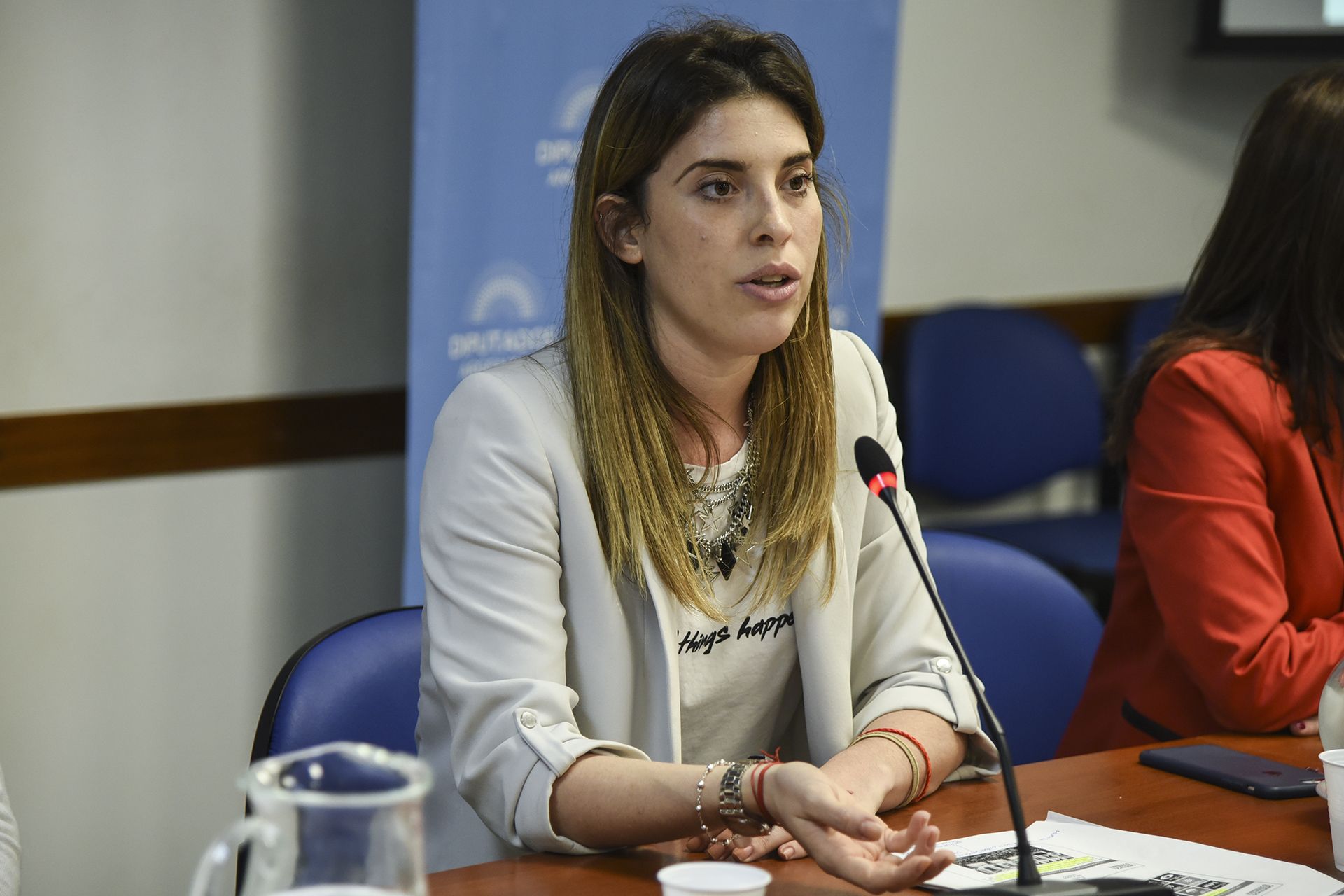 Galeria de imagenes de la noticia SE DESARROLLÓ EN DIPUTADOS UNA JORNADA DE FORTALECIMIENTO DE LAS INSTITUCIONES